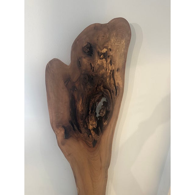 Wood One-of-a-Kind Sculptural Live Edge Wood Wall Art For Sale - Image 7 of 8