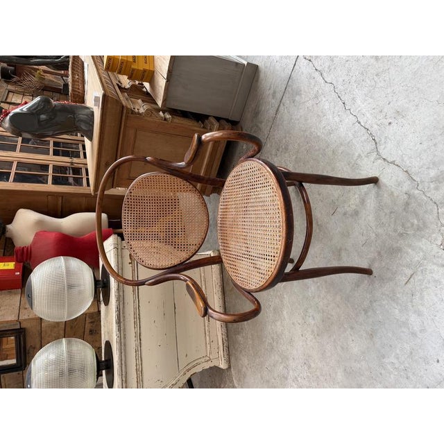 Bentwood and Beech Armchair from DLG Thonet For Sale - Image 4 of 11