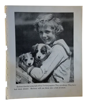 1933 Dog Book Illustration Fox Terrier Dog Puppies Print