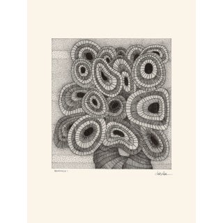 "Abundance 1" Original Pen and Ink Drawing by Denis Collura For Sale