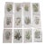 Antique 19th Century Botanical Lithographs - Set of 12 For Sale