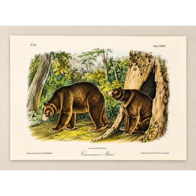 Original hand-colored lithograph from the octavo edition of The Viviparous Quadrupeds of North America. Drawn from nature...
