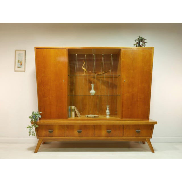 1960s Mid-Century Modern German Living Room Cabinet, 1960s For Sale - Image 5 of 18