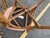 Late 20th Century Set of Four Vintage Bamboo Dining Chairs For Sale - Image 13 of 15