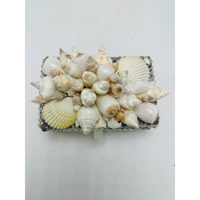 1970s Vintage Shell Box For Sale - Image 5 of 9