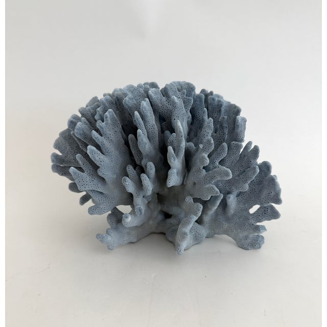 Natural Blue Coral Specimen Coastal Decor For Sale - Image 4 of 6