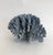 Natural Blue Coral Specimen Coastal Decor For Sale - Image 4 of 6