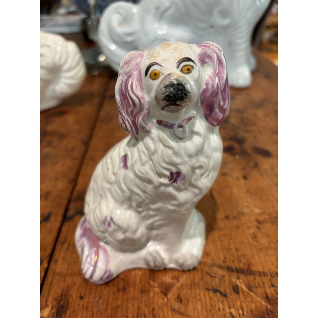 1950s Vintage Staffordshire Dog For Sale - Image 5 of 6