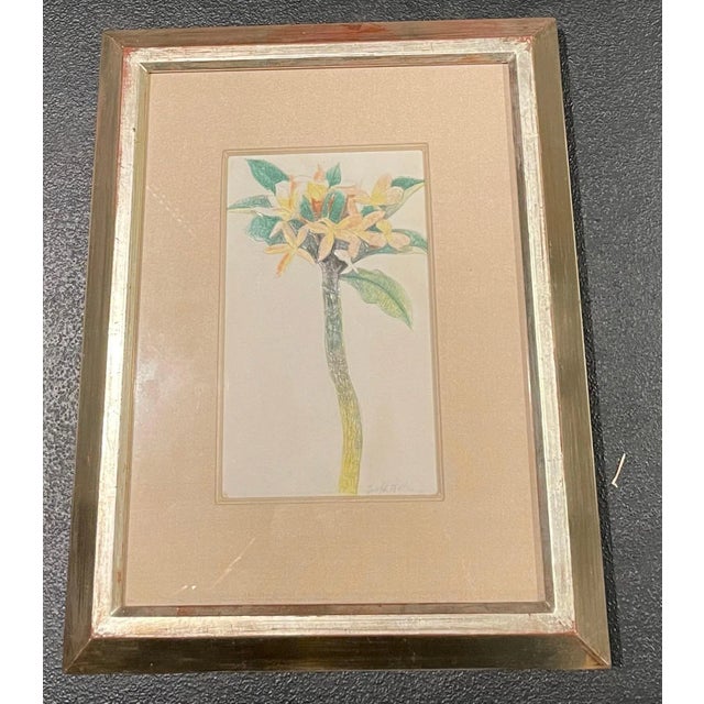 Joseph Stella Joseph Stella (American, 1877–1946) Floral Study, Pencil and Crayon on Paper For Sale - Image 4 of 6