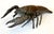 Metal Large Japanese Bronze Lobster Okimono Meiji Period For Sale - Image 7 of 12