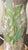 Vintage Botanical Reverse-Decoupage Glass Table Lamp With Pierced Brass Base For Sale - Image 9 of 12