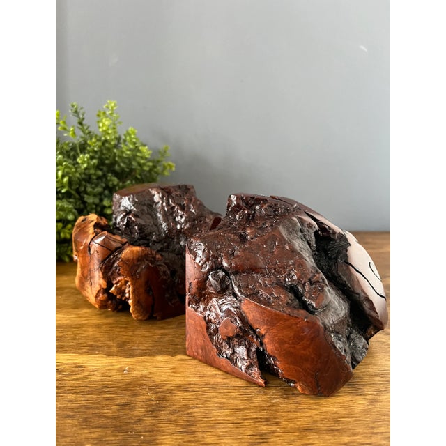 Rustic Vintage Rustic Burl Wood Bookends - a Pair For Sale - Image 3 of 12