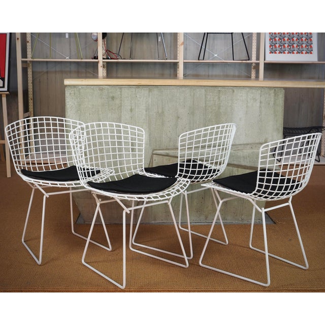Mid-Century Modern Bertoia Side Chairs with Cushion by Harry Bertoia for Knoll International, Set of 4 For Sale - Image 3 of 16