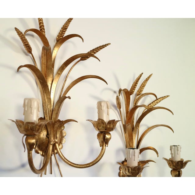 Mid-Century Modern 1950s Italian Gilded Tole Wheat Sconces - A Pair For Sale - Image 3 of 7