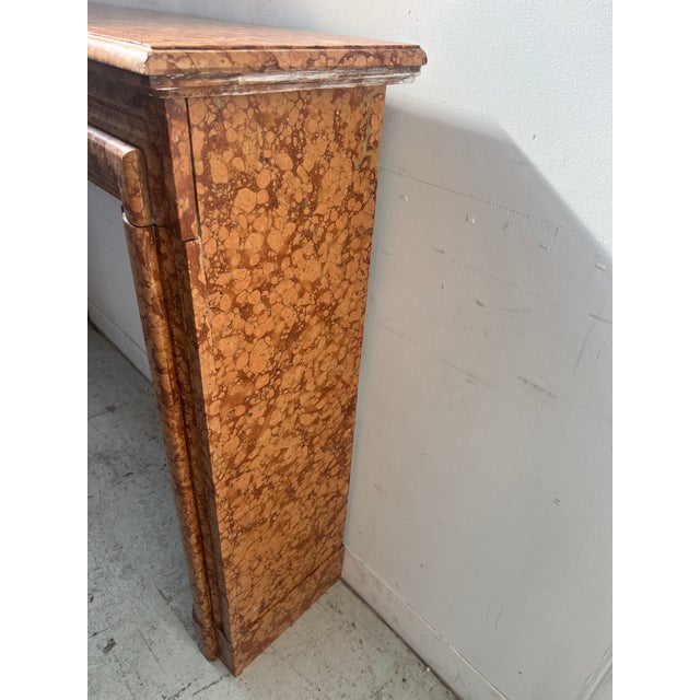 Louis XIV Style Fireplace in Speckled Breccia Marble, 1800s For Sale - Image 10 of 12