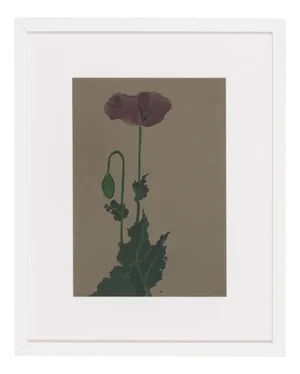 Werner Oberdörffer, Poppy, Watercolor on Paper, Framed