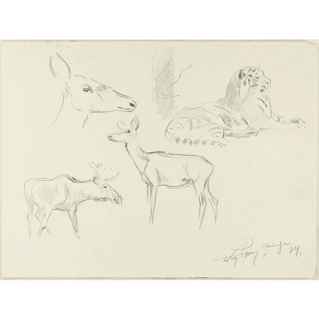 Study of Animals is a beautiful pencil original drawing on ivory-colored paper, realized in 1974 by the German artist...