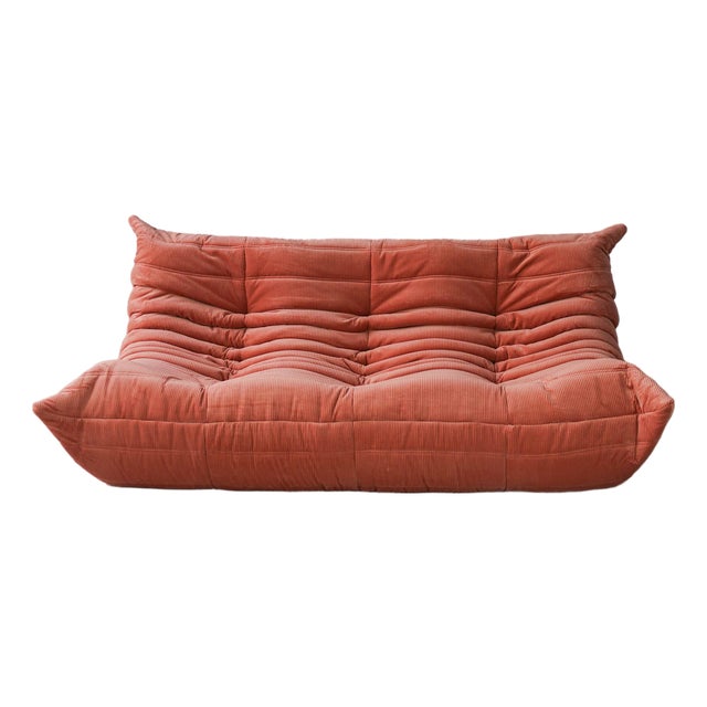 Coral Corduroy Togo Three-Seat Sofa by Michel Ducaroy for Ligne Roset For Sale
