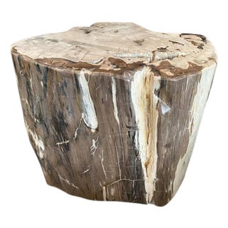 Andrianna Shamaris Ancient Petrified Wood Side Table or Coffee Table For Sale
