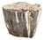 Andrianna Shamaris Ancient Petrified Wood Side Table or Coffee Table For Sale
