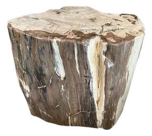 Andrianna Shamaris Ancient Petrified Wood Side Table or Coffee Table
