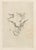Hollywood Regency Félicien Rops, Nude, La Clef Des Champs (The Key to the Fields), 1880s, Etching For Sale - Image 3 of 3
