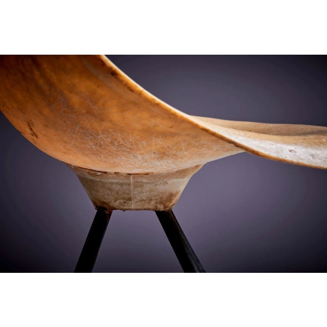 French Fiberglass Chair by Jean-René Picard for S.E.T.A, 1950s For Sale - Image 8 of 13