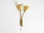 1950s Mid-Century Modern Brass Wall Lamp with Gooseneck and Double Shade by Cosack Leuchten, 1950s For Sale - Image 5 of 18