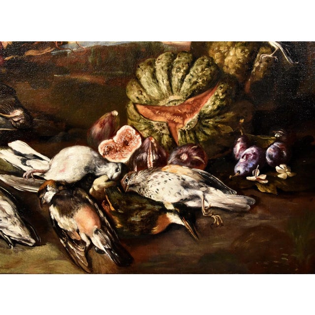 Giovanni Paolo Castelli, Still Life, 1700, Oil on Canvas, Framed For Sale - Image 9 of 16