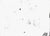 Fred Bugs (1997) Untitled 21x30 cm Mixed media on paper Year: 2024 This piece is attributed to the mentioned...