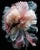 Petals of Light 2 Contemporary Photograph For Sale