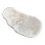 Natural White Bowl Coral Specimen Coastal Home Decor For Sale