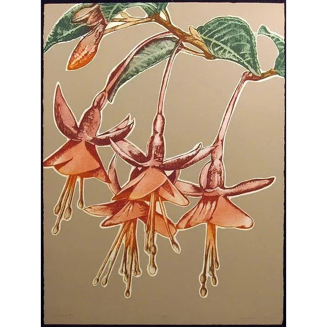 1980s Catherine Ruane O'Connor "Fuchsia II" Signed Numbered Etching with Pink Flowers For Sale - Image 5 of 5