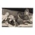 "Douglas Drinks" Framed Engraving by David Donovan For Sale