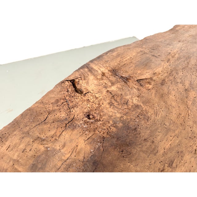 Organic Coffee Table in Poplar, 1990s For Sale - Image 17 of 18