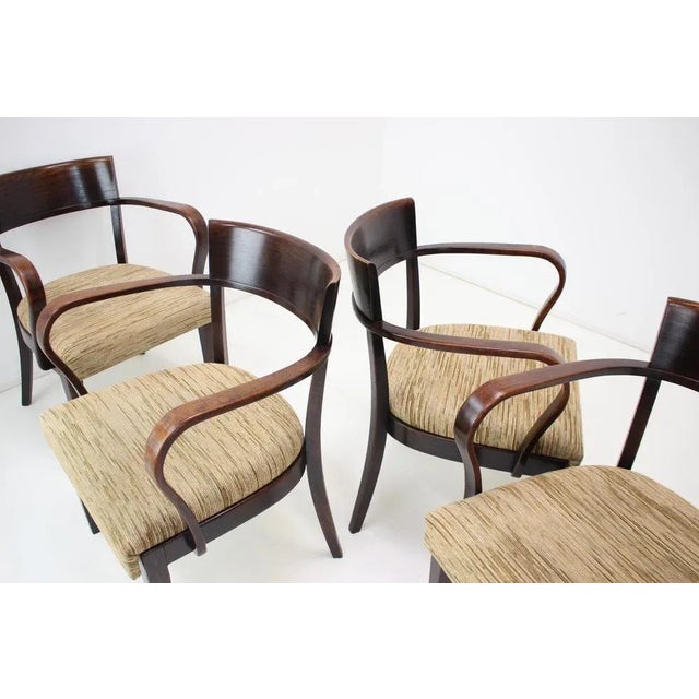 Catalog H-224 Chairs by Jindřich Halabala, Czechoslovakia, 1930s, Set of 4 For Sale - Image 14 of 18