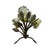 1960s Vintage Capodimonte Porcelain Rose Bouquet on Metal Branch, Italy For Sale - Image 5 of 5