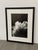 Design Plus Gallery presents a limited edition photograph of Magnolia by Jess Johnston. This black-and-white composition...
