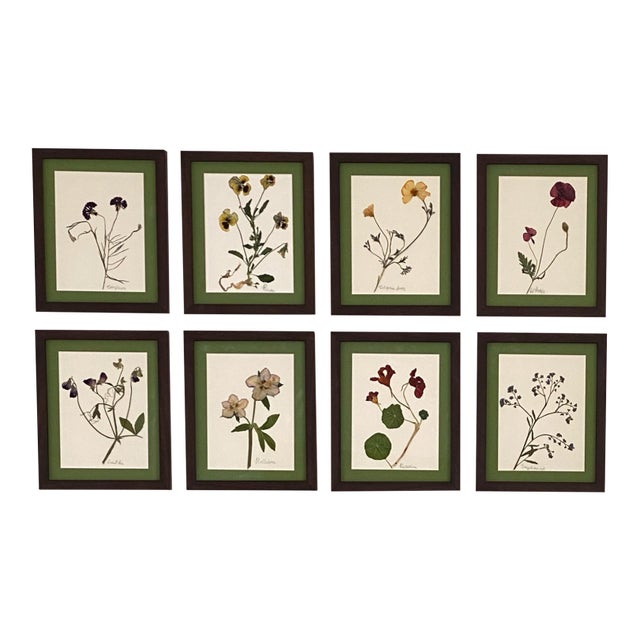 Ree Char Pressed Botanical Art Set — Set of 8, Custom Italian Frames For Sale