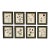Ree Char Pressed Botanical Art Set — Set of 8, Custom Italian Frames For Sale