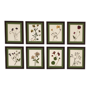 Ree Char Pressed Botanical Art Set — Set of 8, Custom Italian Frames