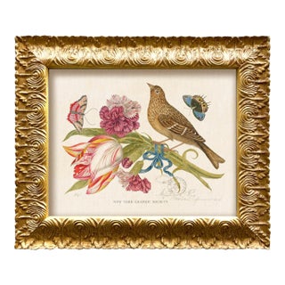 Vintage Birds and Butterflies Art Print (3), Framed For Sale