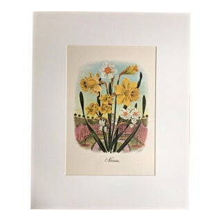 Vintage 1940s Libbie Lovett Flower Print in 16x20 Mat: "Narcissus", EUC For Sale