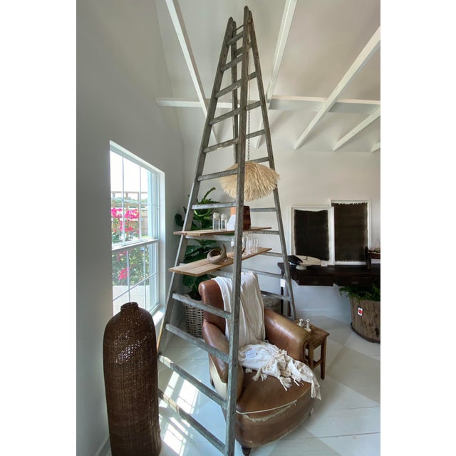Early 19th Century French Provincial Apple Orchard Ladder With Original  Gray Paint | Chairish