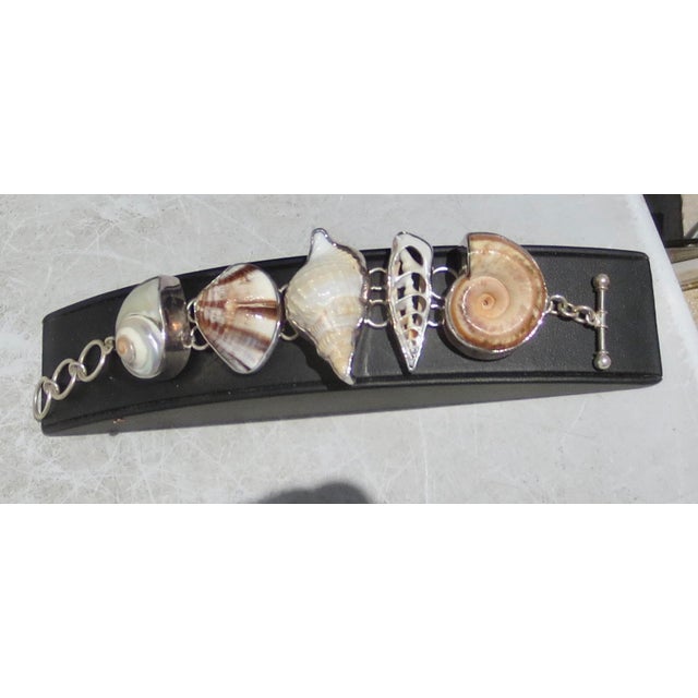 Handmade silver 999, Seashells set in silver mounts with links to a toggle closure. The design holds a variety of snails,...