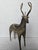 Vintage Indian Dhokra Brass Deer Sculpture For Sale - Image 4 of 9