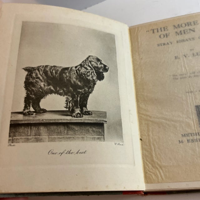 Stray Essays on Dogs by E. V. Lucas. London: Methuen & Co., 1928. Fifth Edition. Hardcover with frontispiece. 130pp.