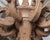 Rh French Baroque Style Carved Wood 8-Arm Chandeliers - Pair For Sale - Image 14 of 18