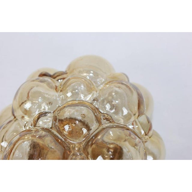 Glass Amber Bubble Glass Sconce by Helena Tynell for Limburg, Germany, 1960s For Sale - Image 7 of 16