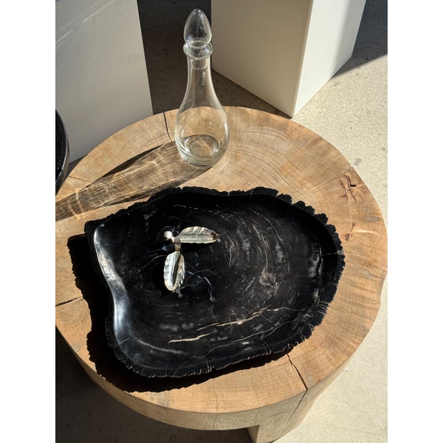 Large Trinket Tray in Black Petrified Wood For Sale - Image 5 of 16